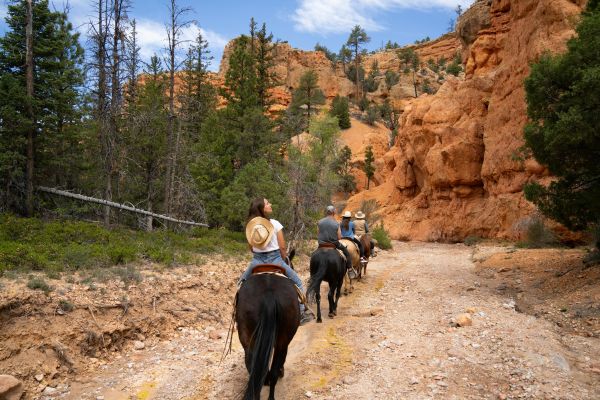 Horse riders explore the stunning natural scenery of Bryce Canyon, Utah.